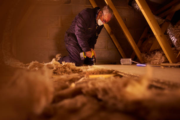 Best Spray Foam Insulation  in Perry, KS